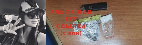 мяу мяу мука Аркадак