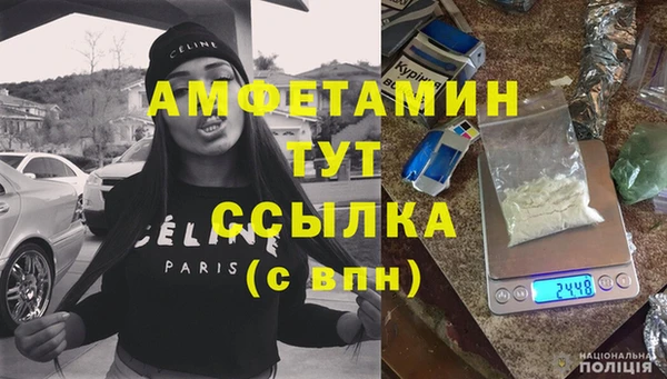 эйфоретик Няндома