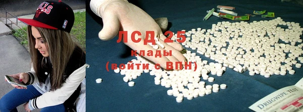 мяу мяу мука Аркадак