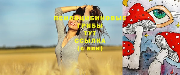 мяу мяу мука Аркадак