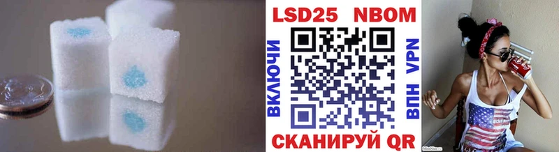 LSD-25 экстази кислота  блэк спрут онион  Пустошка 