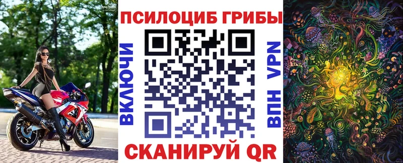 купить Пустошка Псилоцибиновые грибы Magic Shrooms